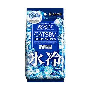 ICE-TYPE DEODORANT Body Wipes Icy Cold Citrus