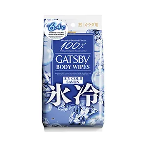 ICE-TYPE DEODORANT Body Wipes Icy Cold Savon